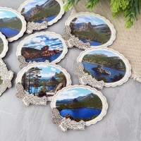 Магнит однослойный овальный Шишки