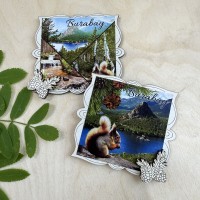 Магнит однослойный квадратный Шишки