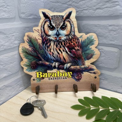 Ключница цветная Сова